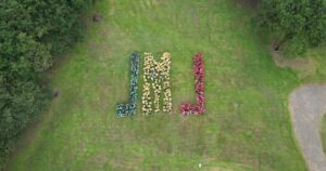 Diocese de Viana do Castelo prepara-se para a Jornada Mundial da Juventude