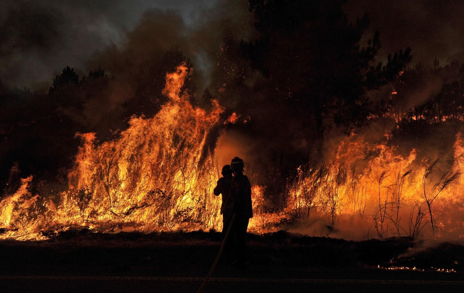 Marco Domingues : “Os fogos têm, cada vez mais, potencial de dano (…) são mais rápidos e violentos”