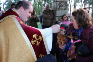 Venade acolheu bênção dos animais domésticos